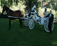 Quartz Mountain Carriage Co. Tom has over 30 years driving experience. Make any event one to remember with a horse drawn carriage.